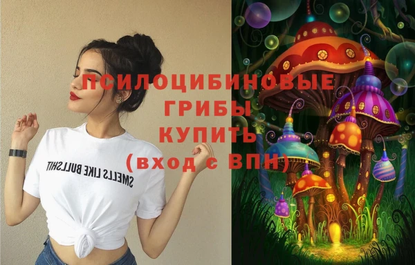 мдпв Абинск