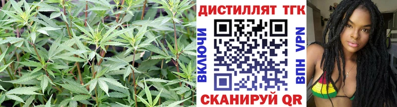 ТГК концентрат  Грозный 
