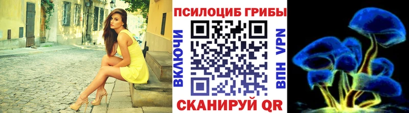 купить наркотик  Грозный  Галлюциногенные грибы MAGIC MUSHROOMS 