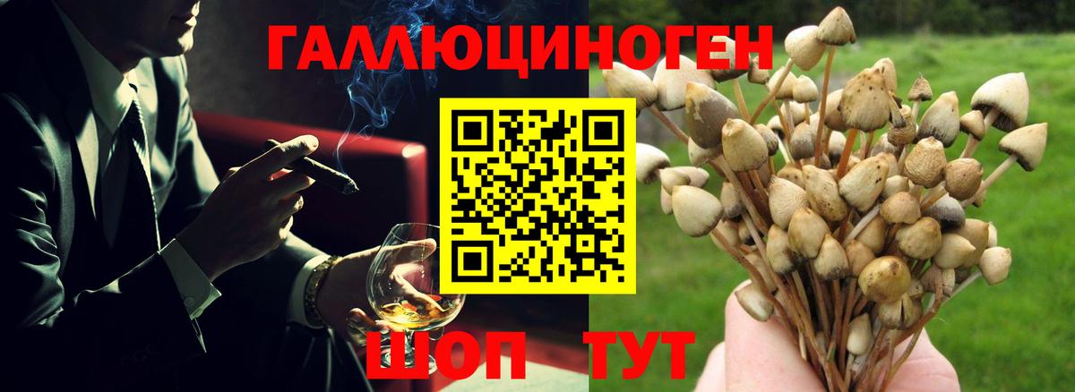 Галлюциногенные грибы Magic Shrooms Грозный